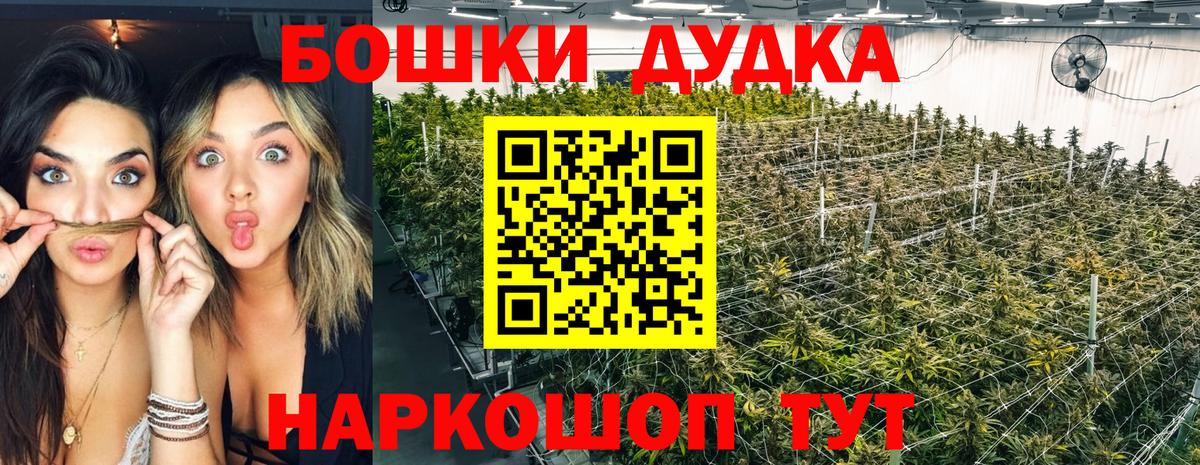 Марихуана планчик  Вход с VPN  Новоуральск  Каннабис Bruce Banner 